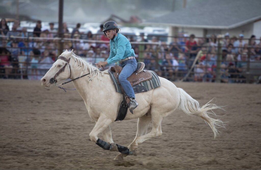 Horse running